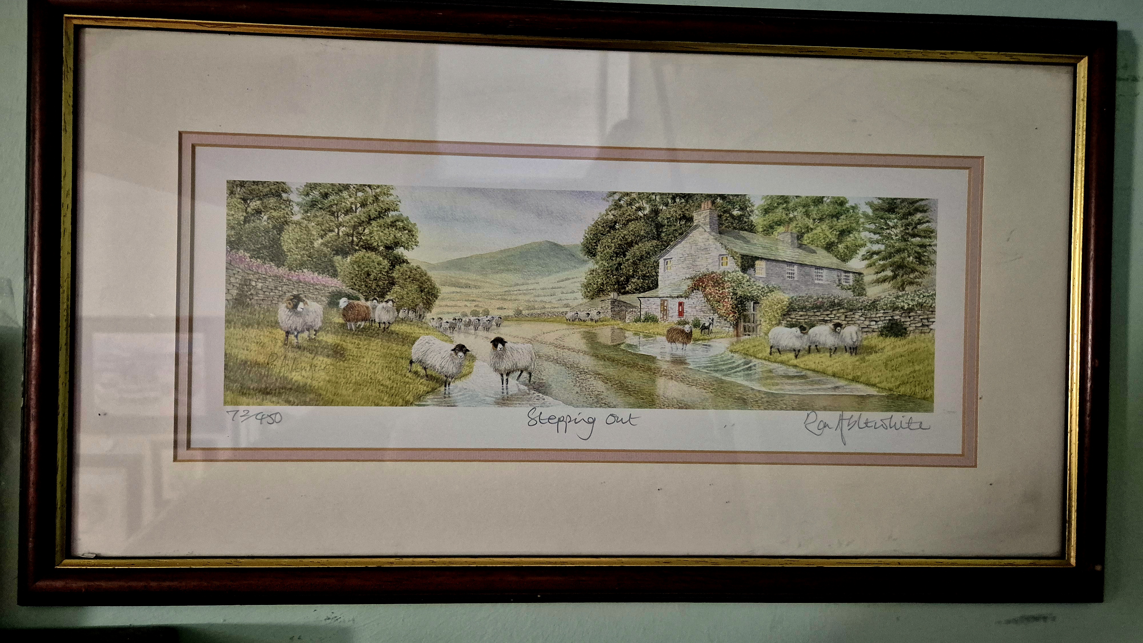 Framed and glazed print 'Stepping Out' by Ron Ablewhite? (se